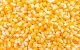 Las empresas esperan una solución al conflicto del maíz con los EE.UU.: ¿Cuándo llegará la solución del comité?