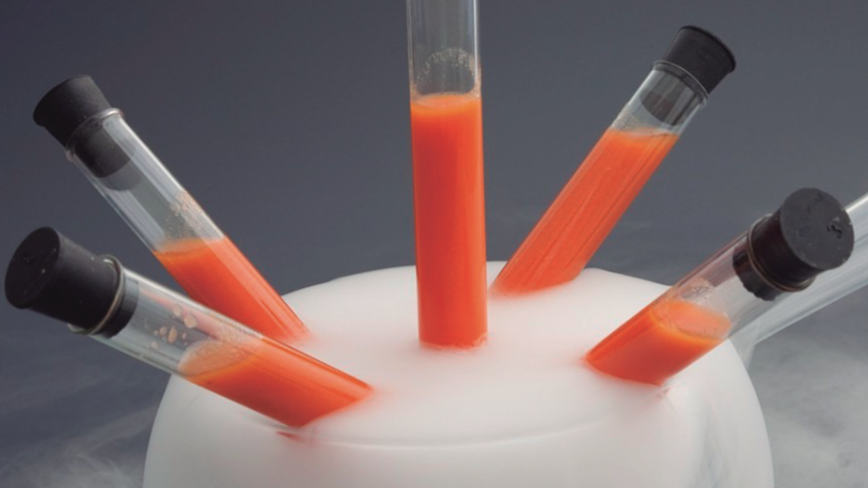 Cocina molecular