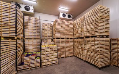 Cuartos fríos para alimentos: La clave para la conservación y seguridad