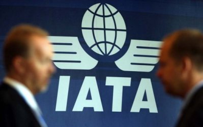 IATA Logo