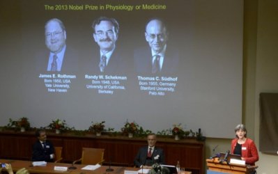 Mención del Premio Nobel de Medicina