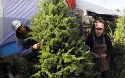 Árboles navideños