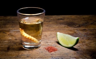 Mezcal