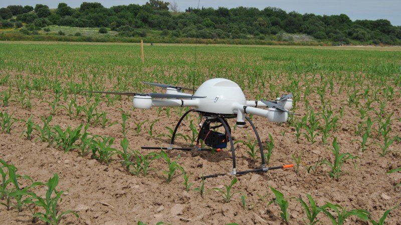 dron-agricultura