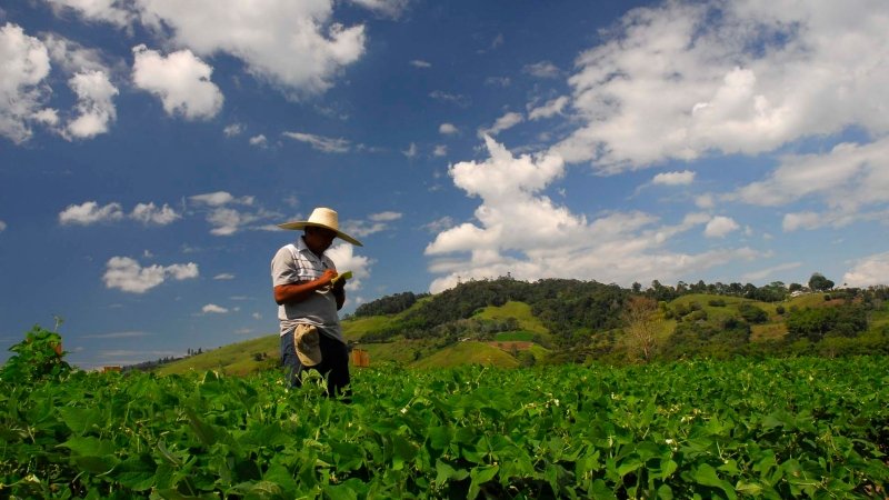 Agropecuario