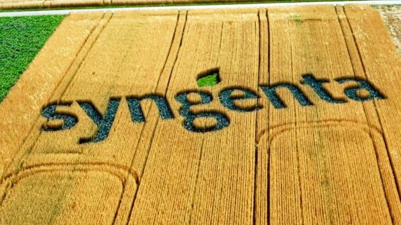 syngenta