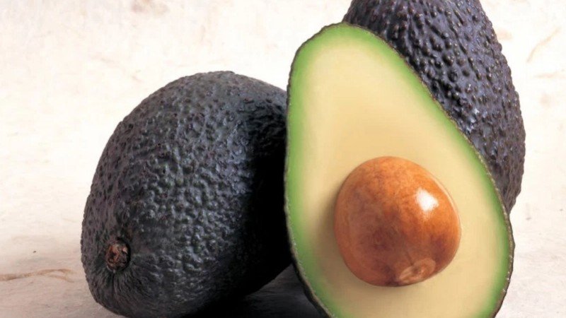 Aguacate mexicano