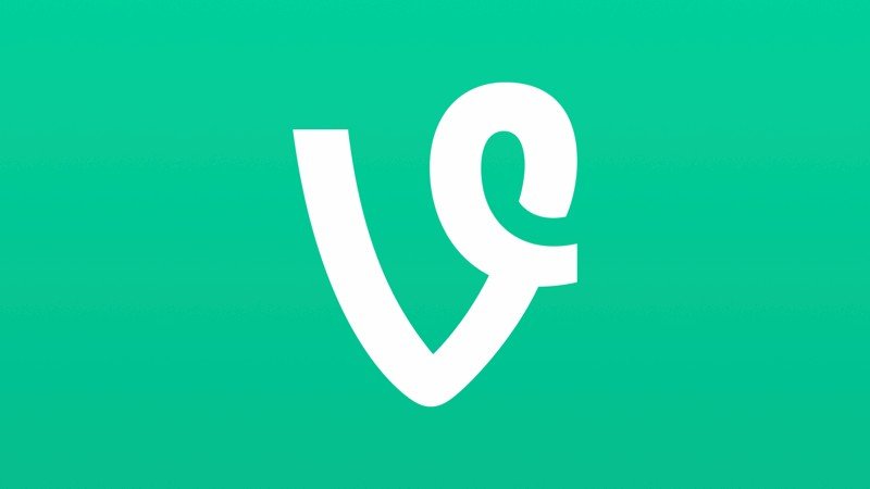 Vine