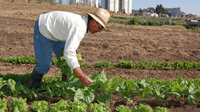 Agricultura