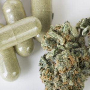 Medicamento cannabis