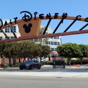 Disney Corporation