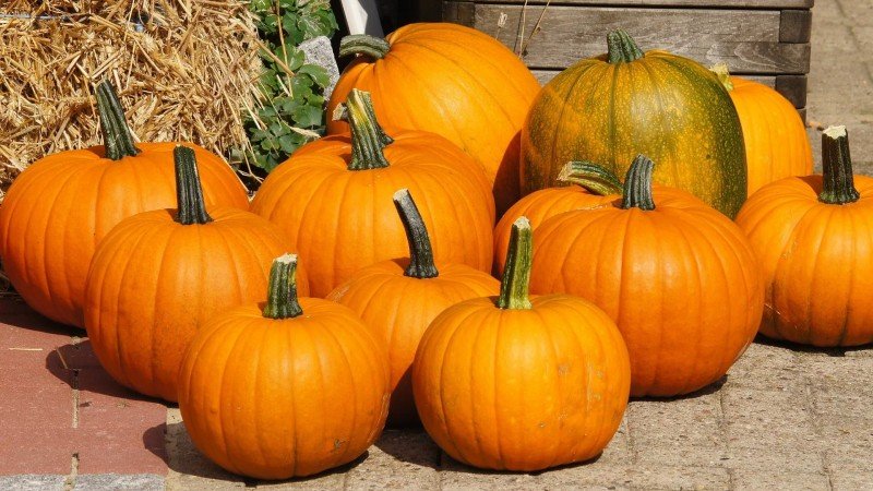 Calabazas