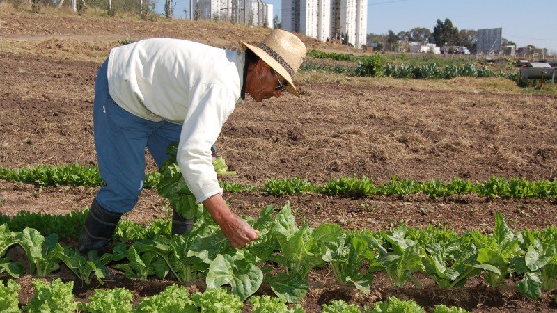 Agricultura