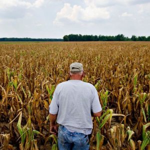granjeros estadounidenses
