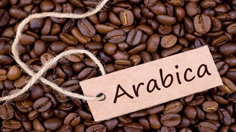 cafe arabiga