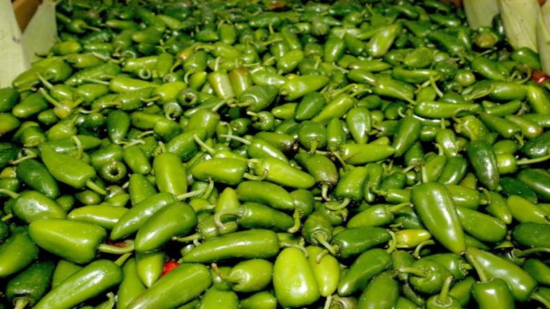 Jalapeños