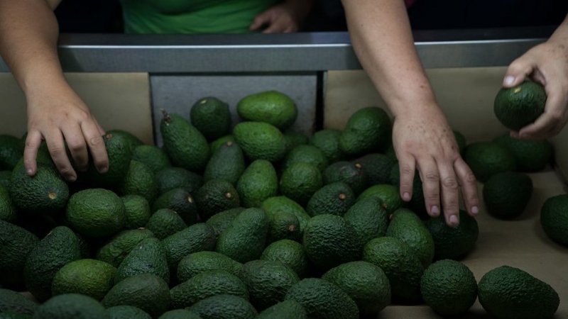 aguacate Super Bowl