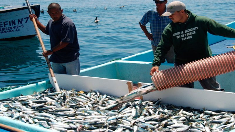 pesca_chiapas_oaxaca_guerrero