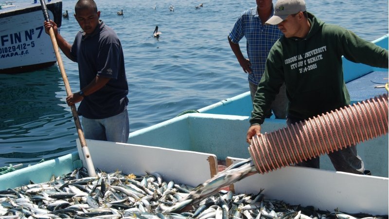 pesca golfo de california