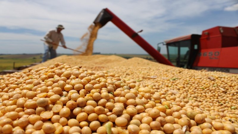 sader productores de grano