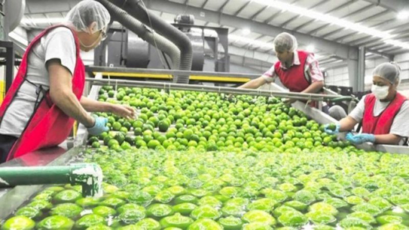 agroalimenticio mexico japon