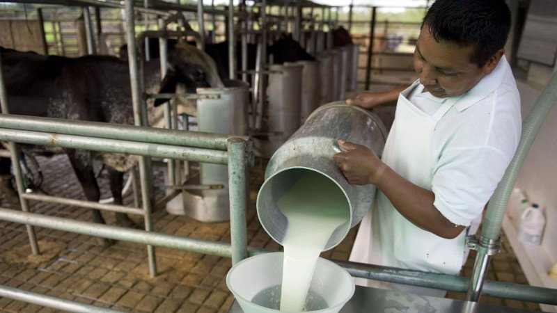 productores de leche liconsa