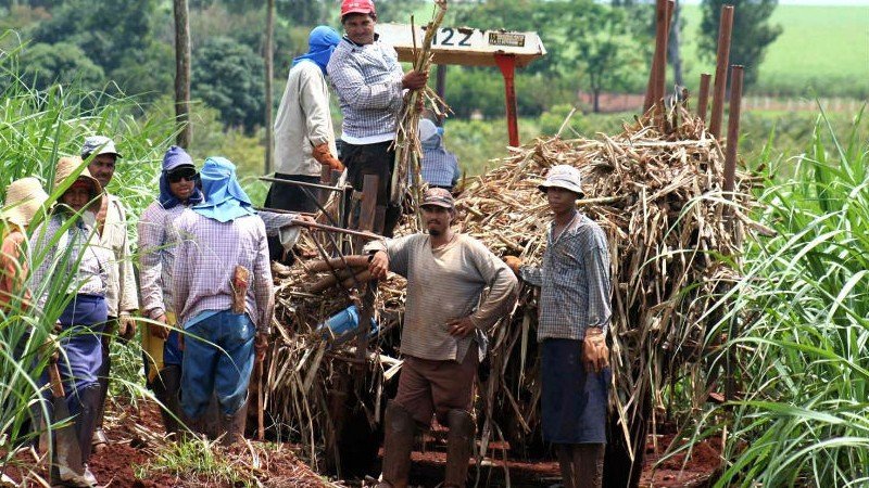 apoyos azucareros