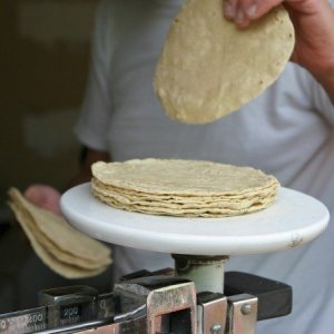 incremento precio tortilla