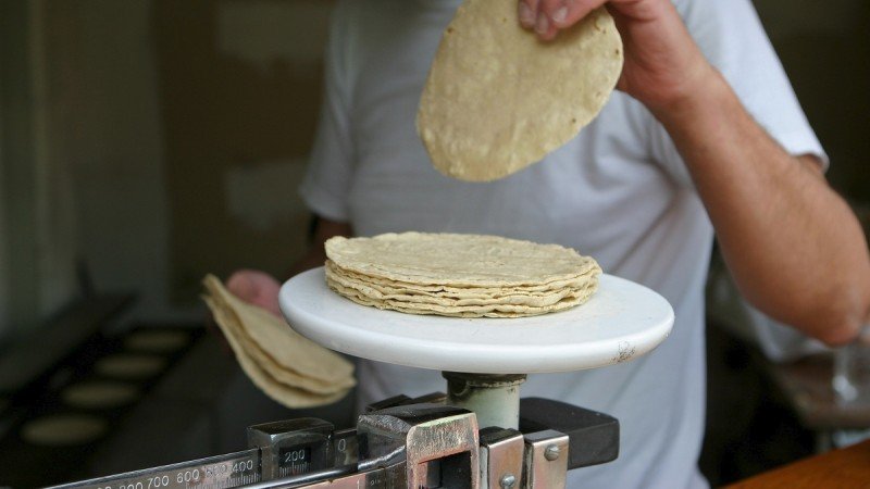 incremento precio tortilla