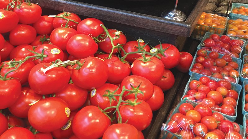 industria mexicana del tomate