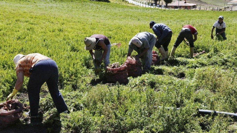 agricultura mexicana