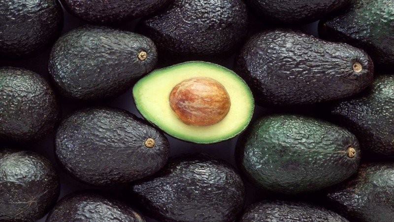 aguacate