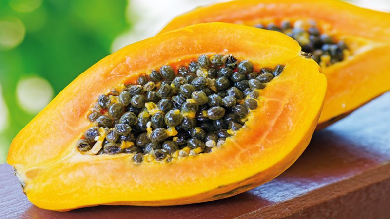 papaya mexico