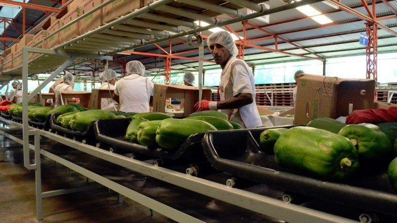 producción agroalimentaria