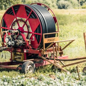 La tecnología agrícola puede minimizar las emisiones de gases de efecto invernadero