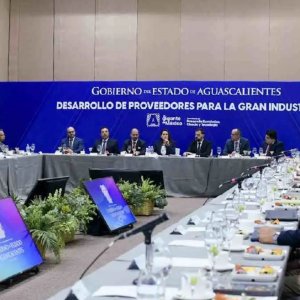 Programa Estatal de Desarrollo de Proveedores