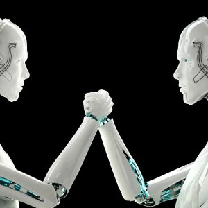 Robots funcionales