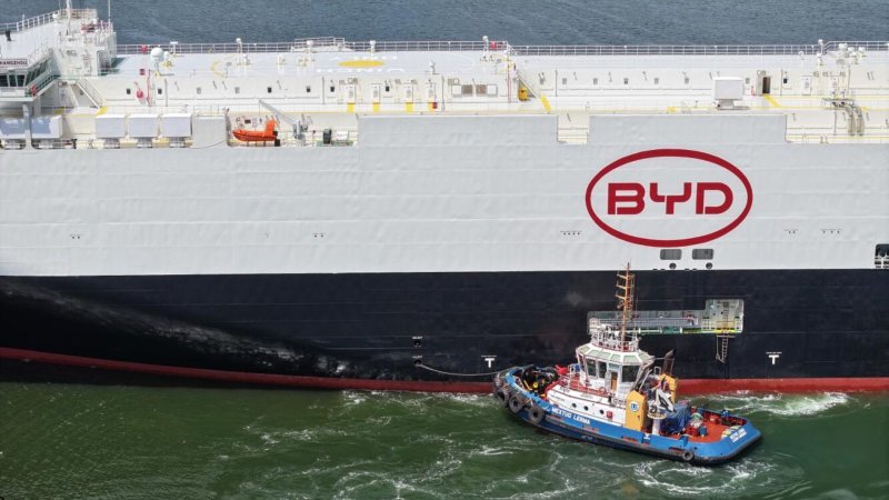 BYD México