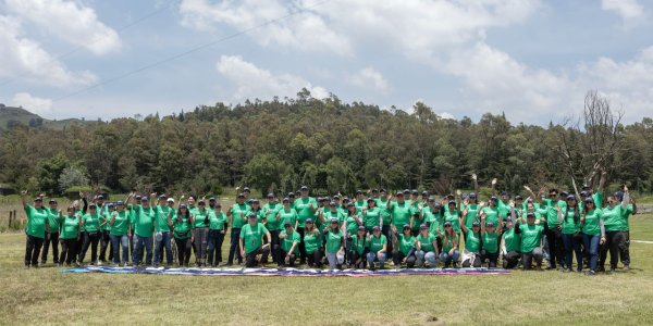 Reforestación ANPACT 2025