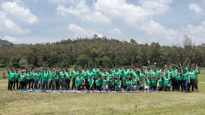 Reforestación ANPACT 2025