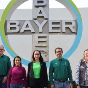 BAYER