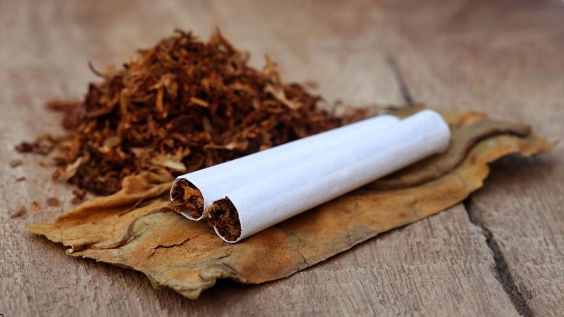 Industria tabaco