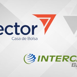 VECTOR E INTERCAM