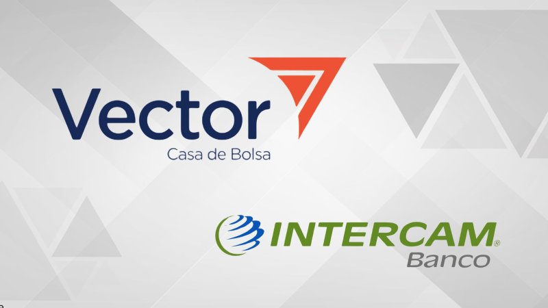 VECTOR E INTERCAM