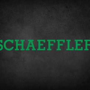 Schaeffler