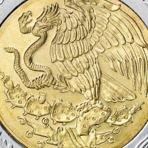 Salario mínimo México