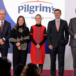 Pilgrim’s